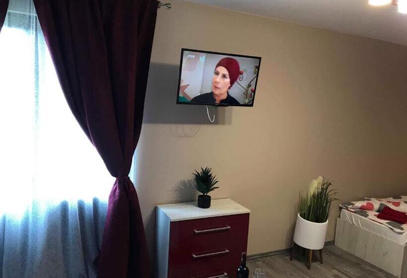 Пансион Wellion