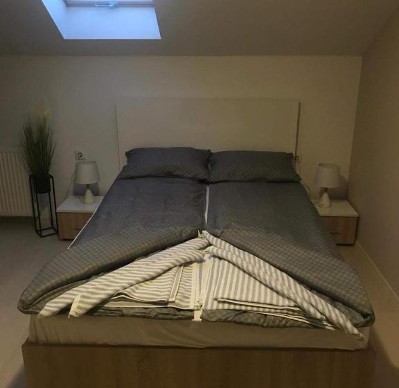 Пансион Wellion