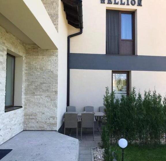 Пансион Wellion