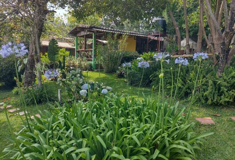 旅馆 Hostal Cabañas Ave Maria