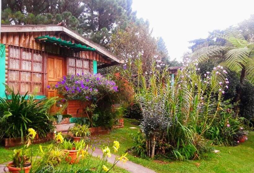 旅馆 Hostal Cabañas Ave Maria