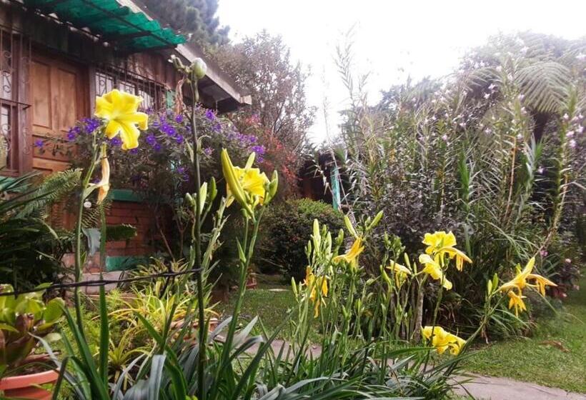 旅馆 Hostal Cabañas Ave Maria