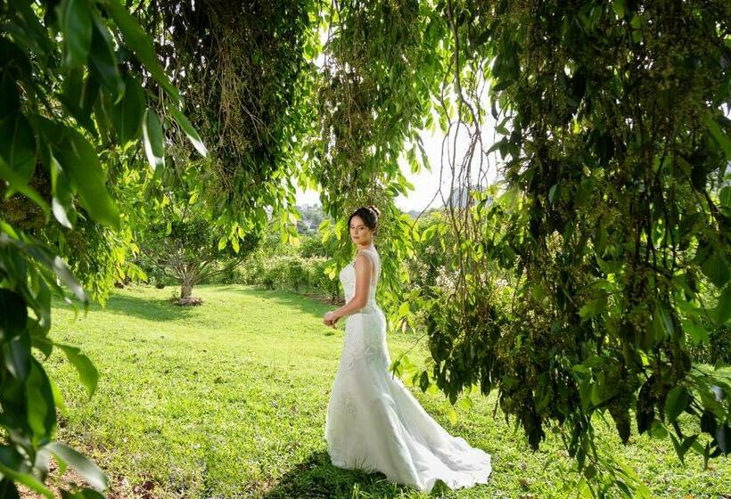 فندق صغير Segredo Da Serra Guest House