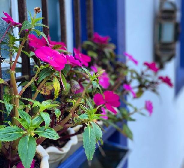 فندق صغير Segredo Da Serra Guest House