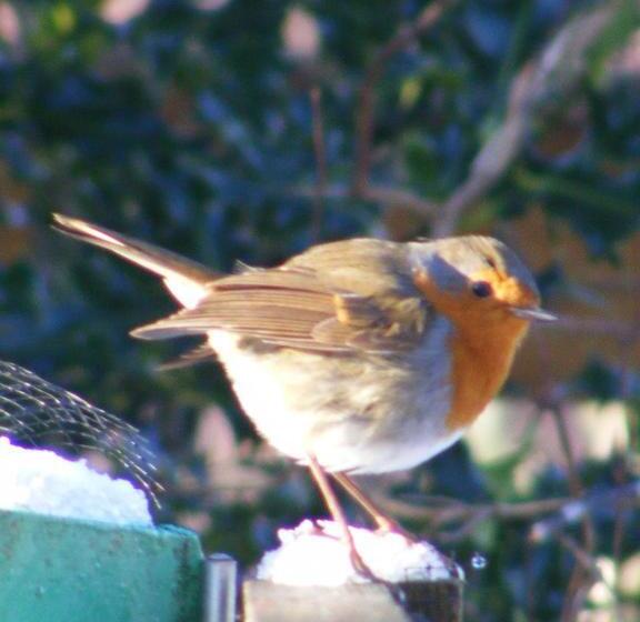 فندق صغير Torrin Bunkhouse