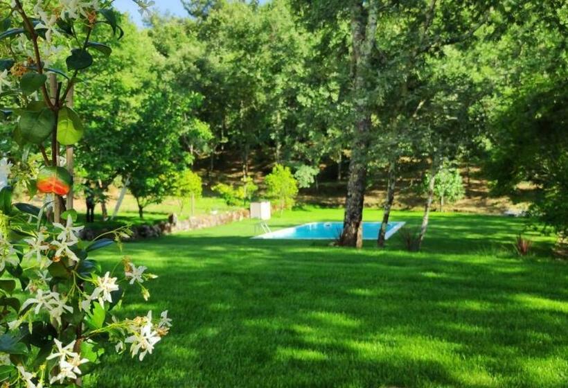 Bed and Breakfast Casa De Apeleiras