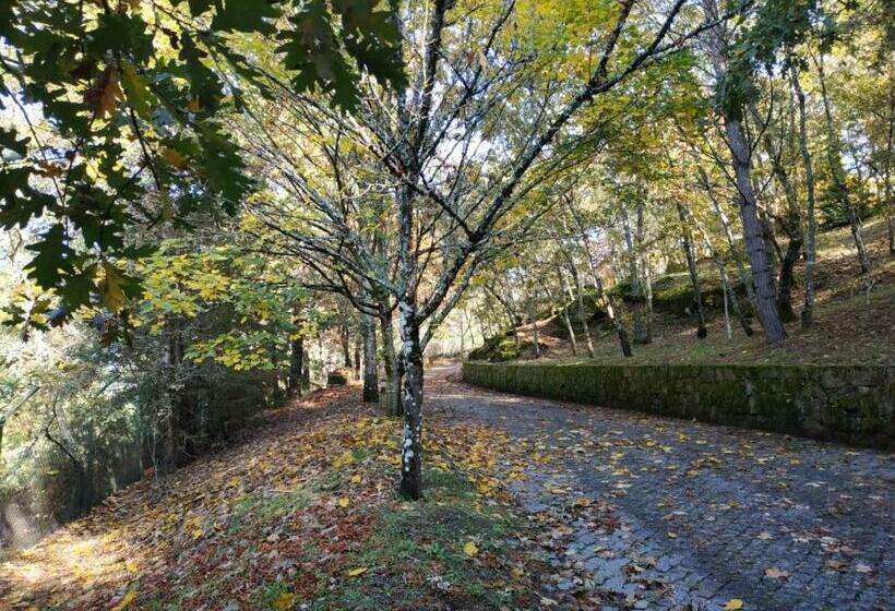 Bed and Breakfast Casa De Apeleiras