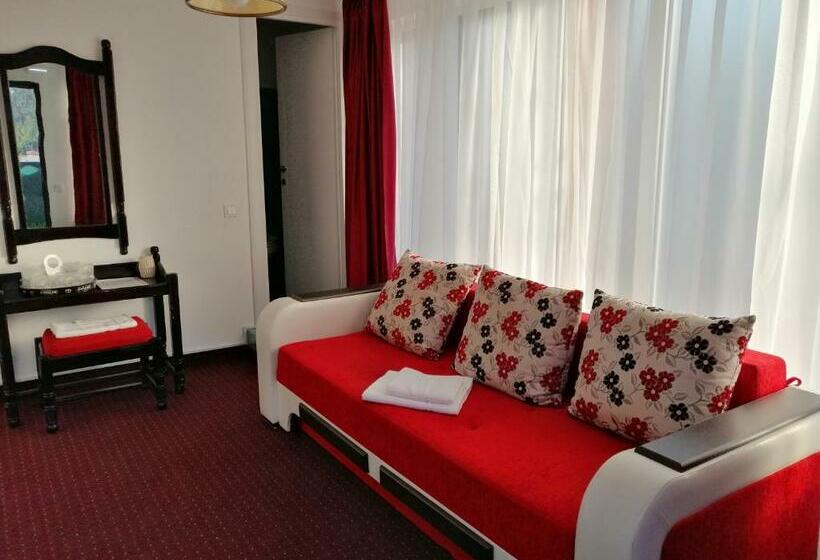 Bed and Breakfast Copou Inn