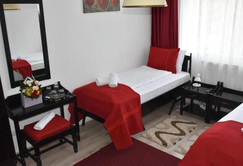 Bed and Breakfast Copou Inn