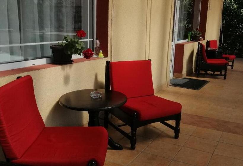 Bed and Breakfast Copou Inn