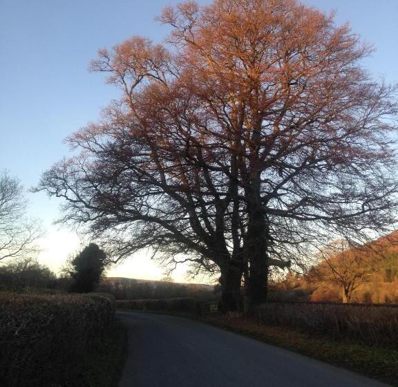 צימר Henllys Estate B And B