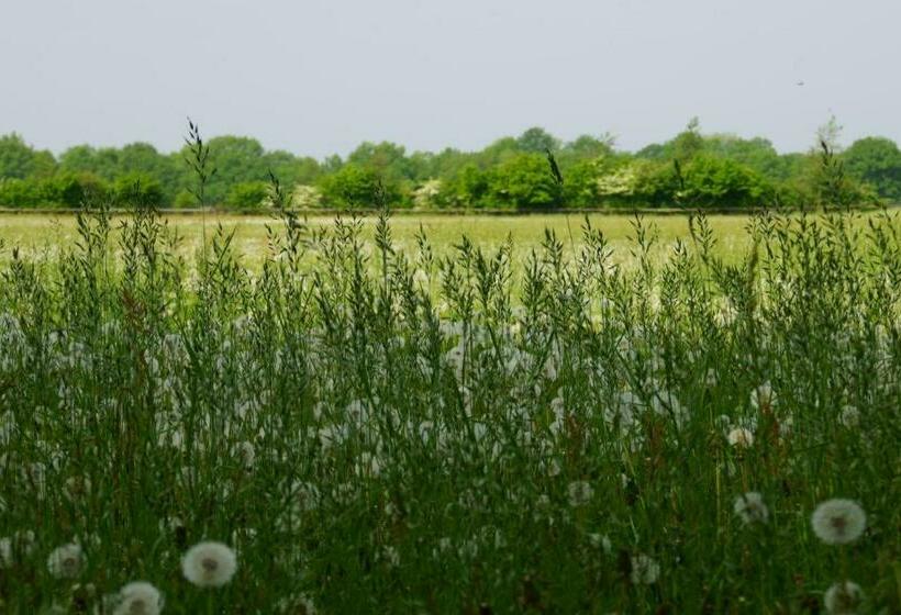 تختخواب و صبحانه Huis Eedingh