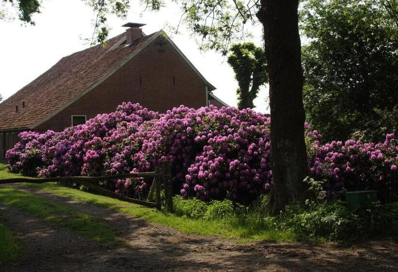 تختخواب و صبحانه Huis Eedingh