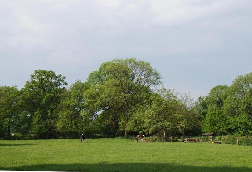 تختخواب و صبحانه Huis Eedingh