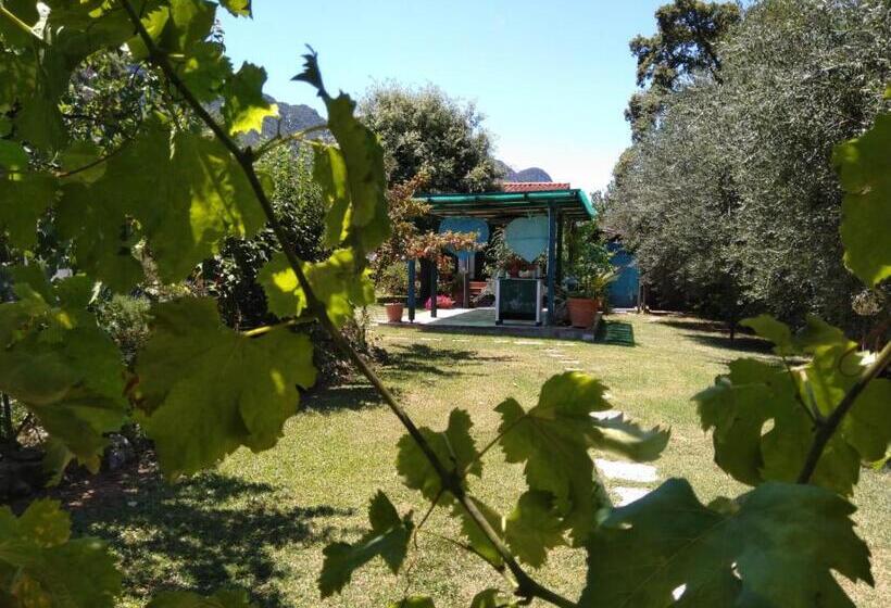 住宿加早餐  Il Brecciaro