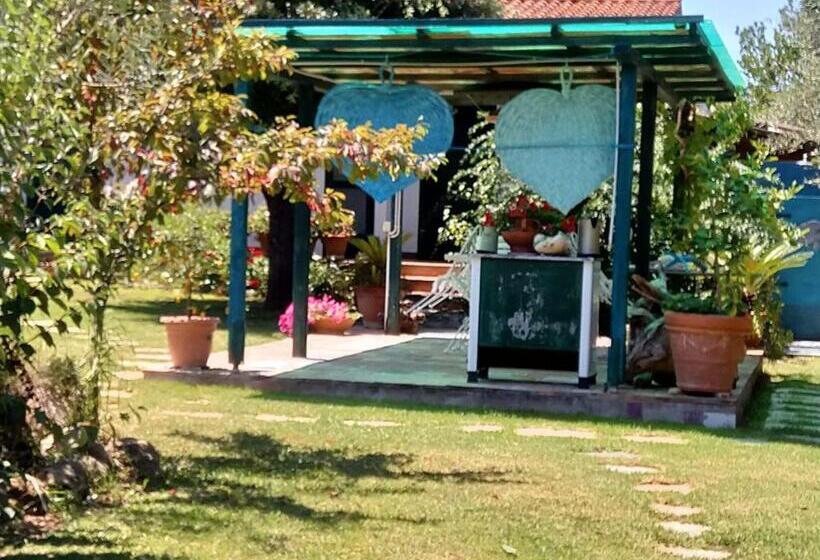 住宿加早餐  Il Brecciaro