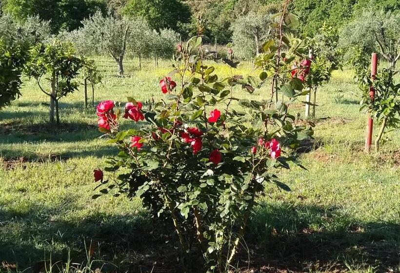 住宿加早餐  Il Brecciaro