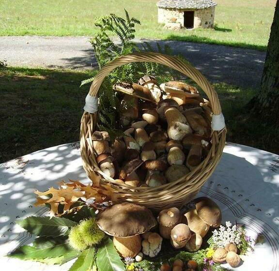 Bed and Breakfast L Orée Du Bois