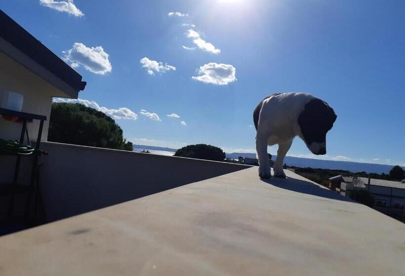 住宿加早餐 La Sirena