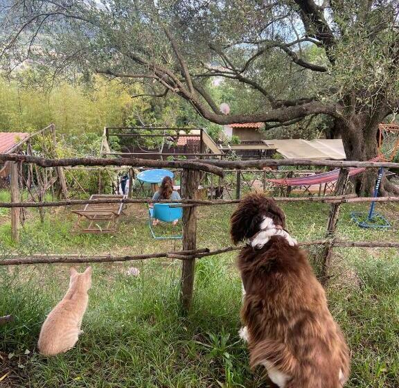 مبيت وإفطار Sant Agata