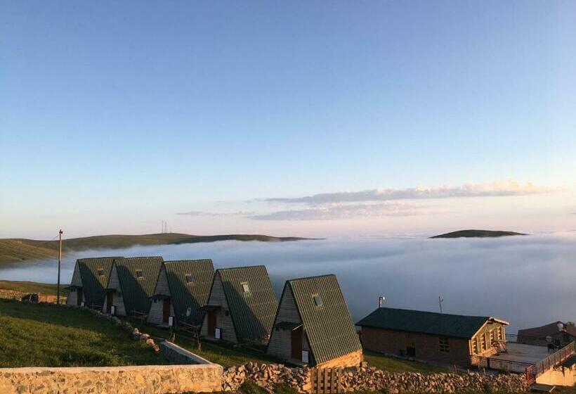 住宿加早餐 Sultanmurat Bungalow