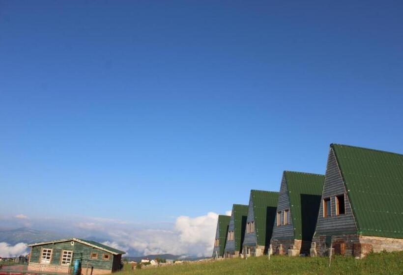 住宿加早餐 Sultanmurat Bungalow