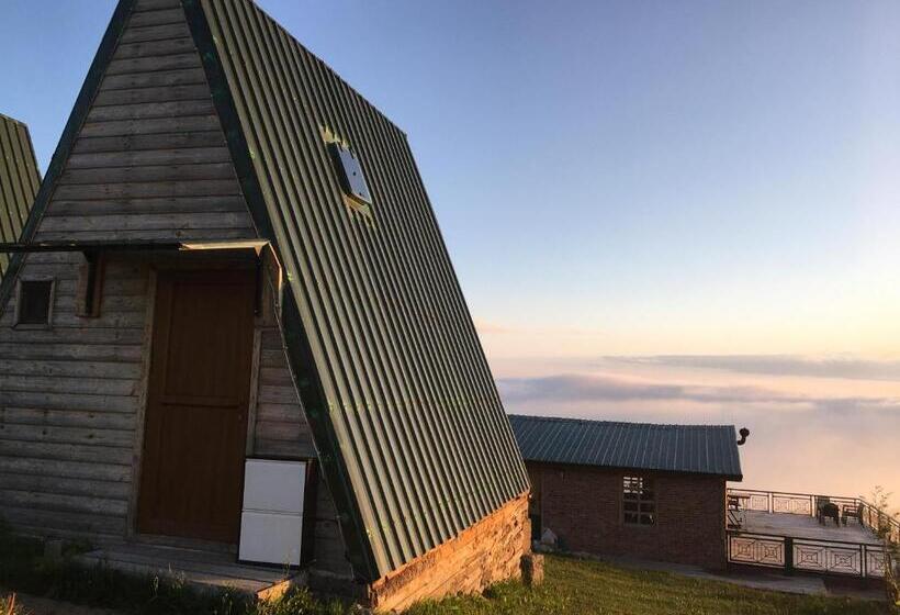 住宿加早餐 Sultanmurat Bungalow