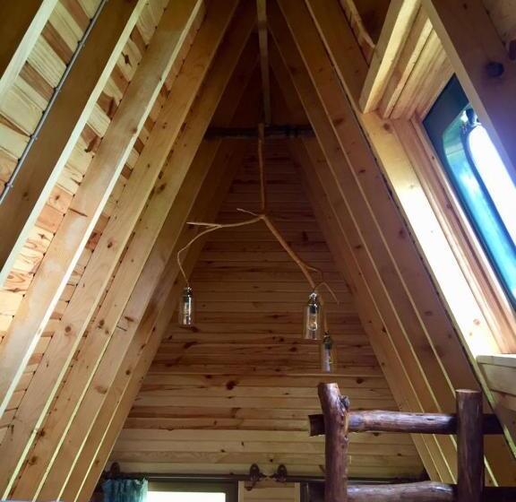 住宿加早餐 Sultanmurat Bungalow