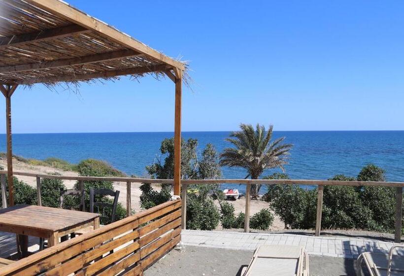 ベッドアンドブレックファースト Summer Dream Cyprus