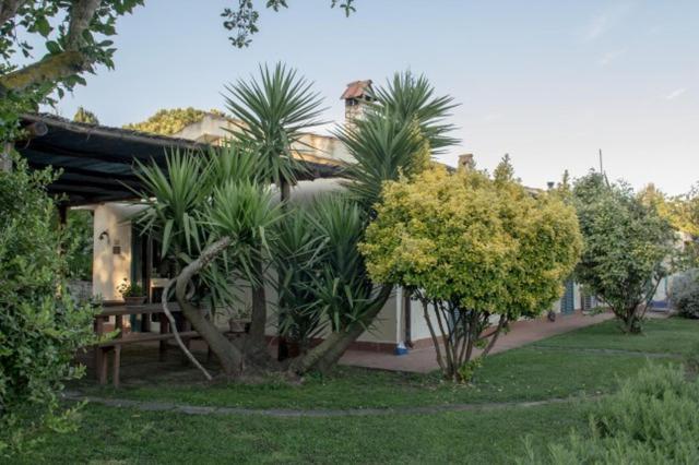 فندق Agriturismo Le Colline Di Capalbio
