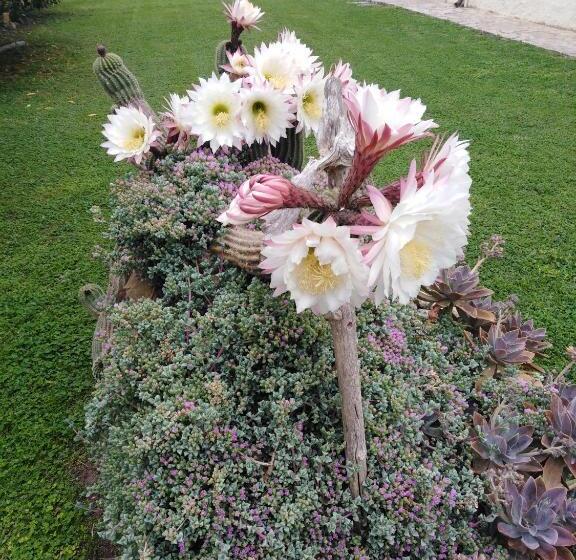 בית מלון כפרי Agriturismo Le Colline Di Capalbio