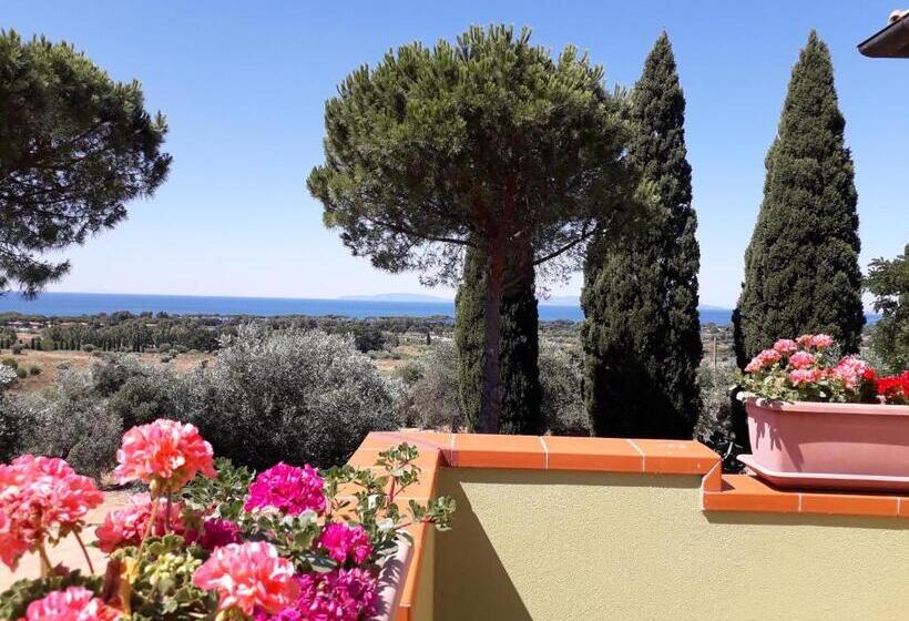 Отель Agriturismo Poggio All Olivo