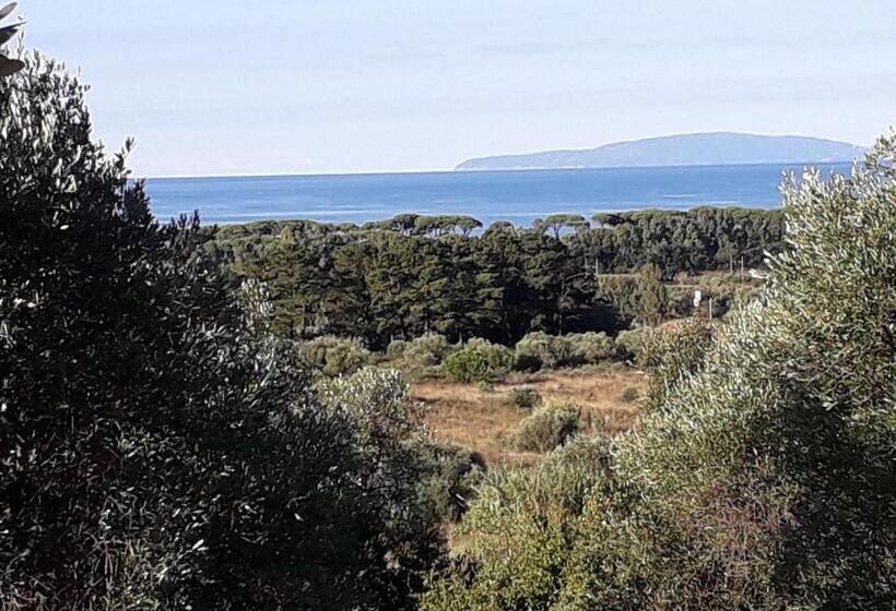 Отель Agriturismo Poggio All Olivo