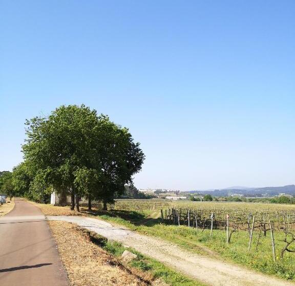 ホテル Casa Do Pinheiro Manso