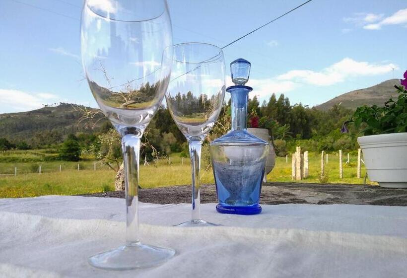 ホテル Casa Do Pinheiro Manso