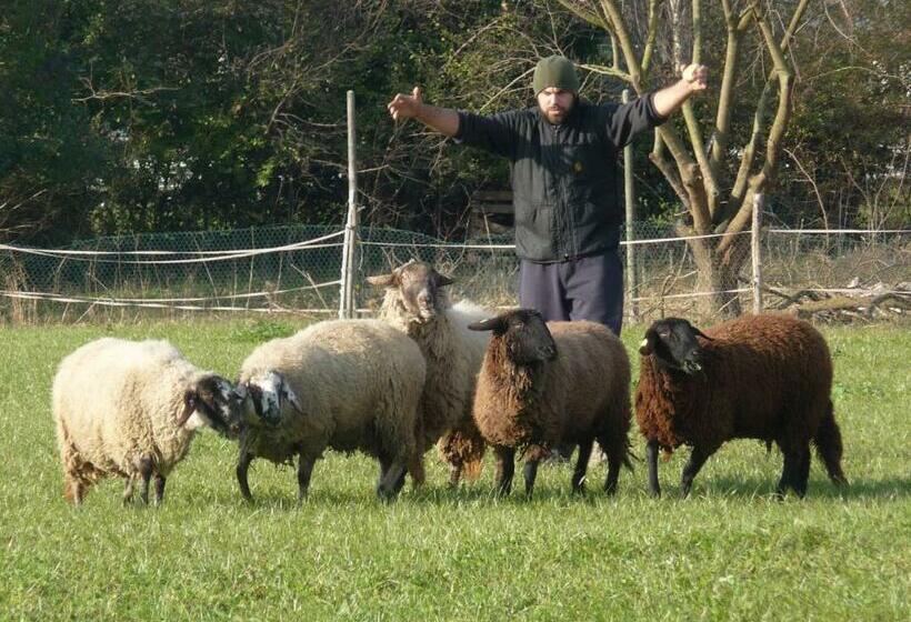 בית מלון כפרי Pecore Ribelli