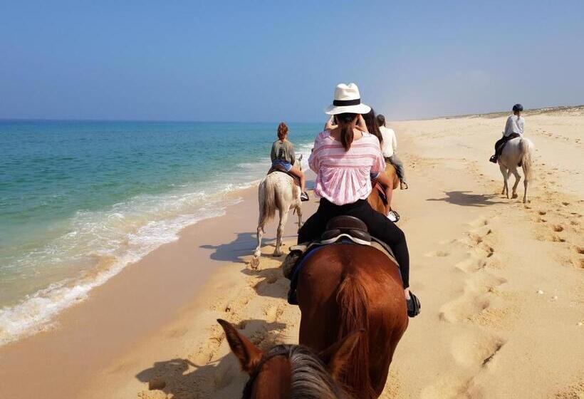 بنسيون Flow Rooms