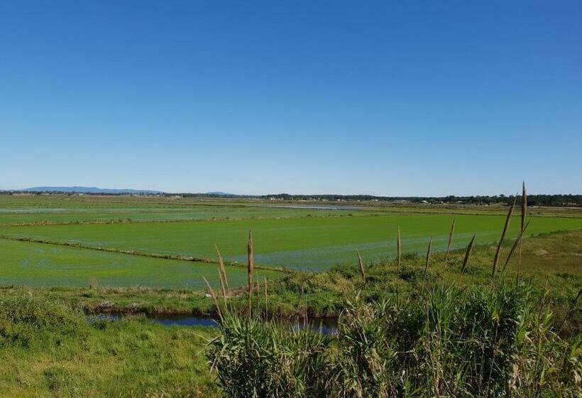 بنسيون Flow Rooms