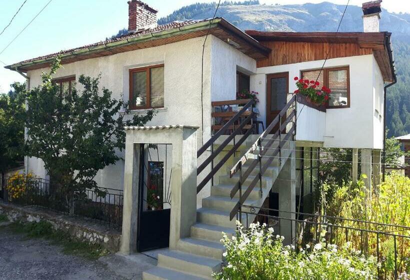 بنسيون Guest House Denitsa