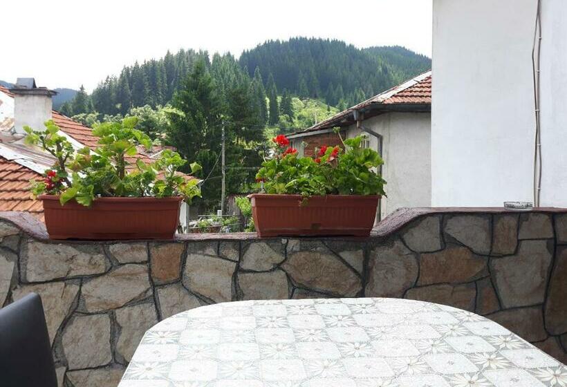 펜션 Guest House Denitsa