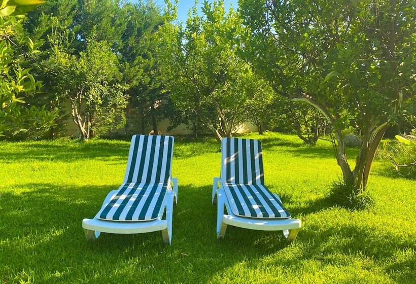 پانسیون Mandarin Guesthouse   Adult Only