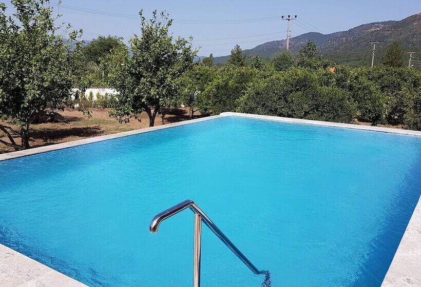 پانسیون Mandarin Guesthouse   Adult Only