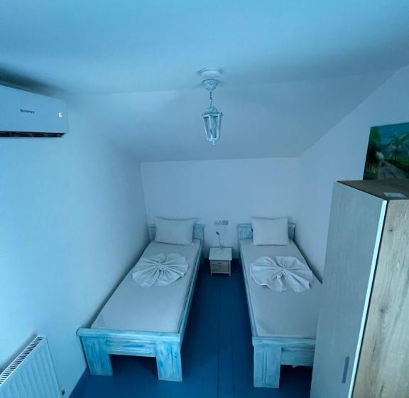 膳宿费 Yogi Pescaru