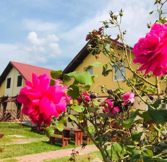 Курорт Mojo Beach