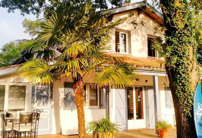 הוסטל Shifting Sands Surf Camp