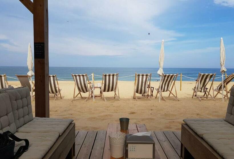 הוסטל Shifting Sands Surf Camp