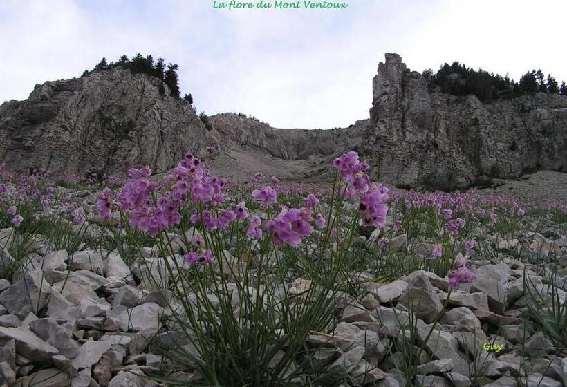 مبيت وإفطار Le Nid Au Pied Du Mont Ventoux