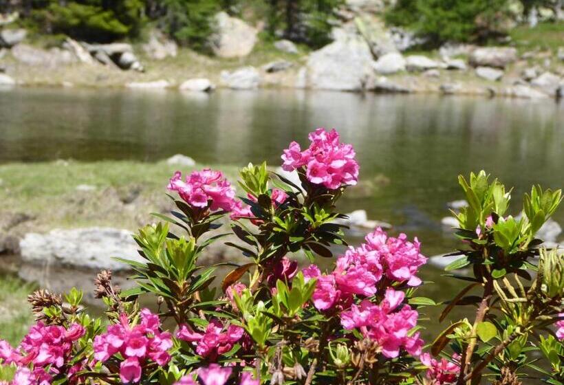 فندق Garni Nunnemairhof