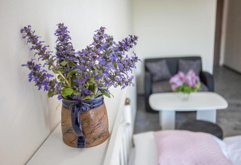 Пансион Ubytování Rožmberk Nad Vltavou 18