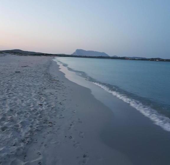 پانسیون Villa Dettori